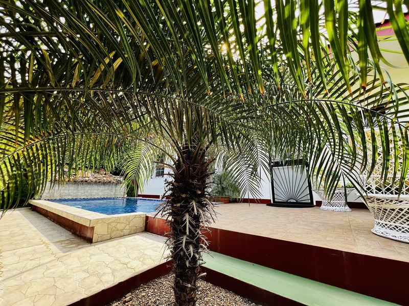 Palm-shaded patio at Haven